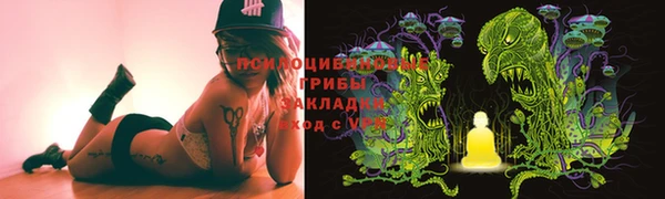прущие крисы Алексин