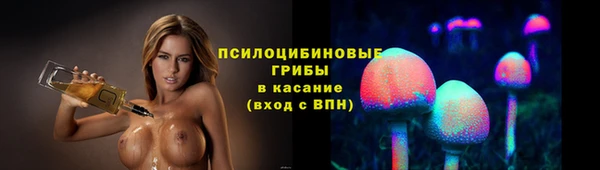 прущие грибы Алексеевка