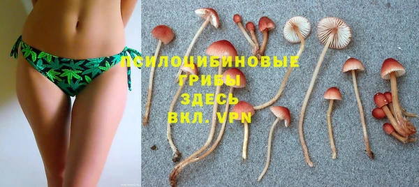 дживик Алзамай