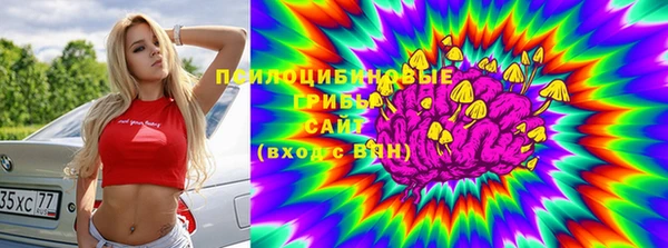 дживик Алзамай
