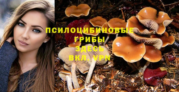 прущие грибы Алексеевка