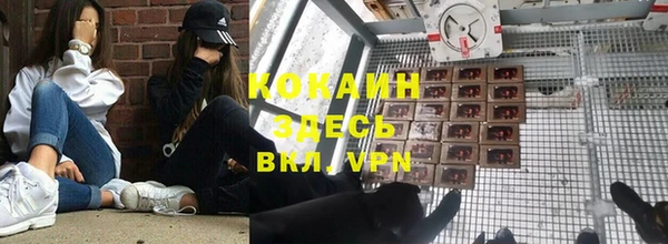 дживик Алзамай