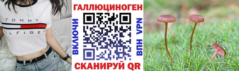 купить наркоту  Зарайск  Псилоцибиновые грибы Psilocybine cubensis 